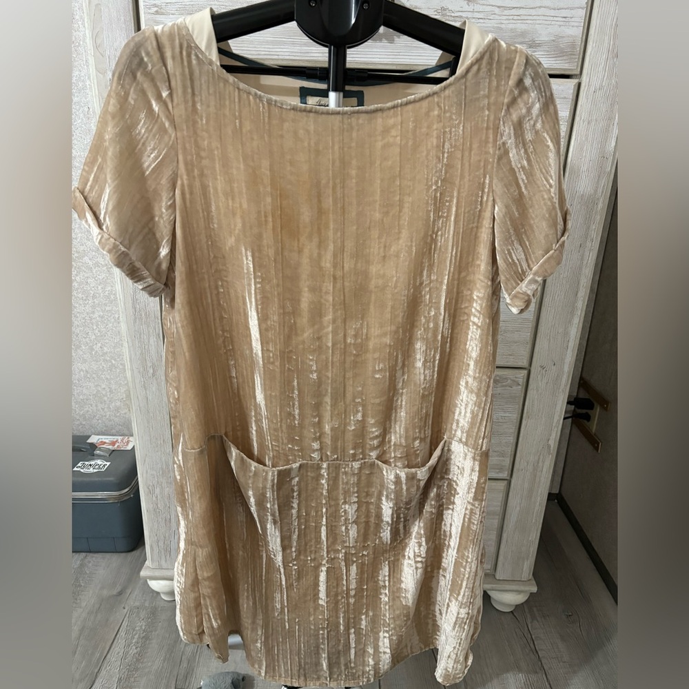 Anthropologie Floreat velvet dress